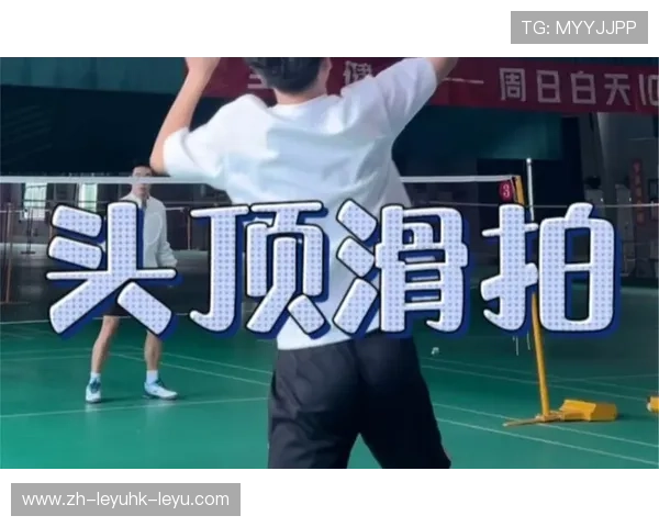 羽毛球扣杀球吊球 羽毛球扣杀球吊球