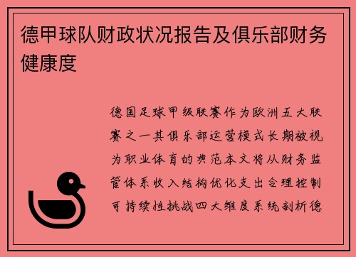 德甲球队财政状况报告及俱乐部财务健康度